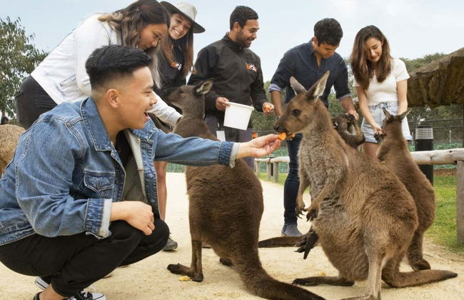 Blue Mountains e Scenic World + Sydney Zoo - Foto 10