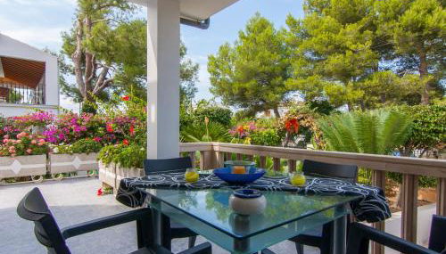 Zamia - Foto 2, Garden view