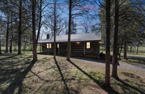 Cozy Lux Cabin With Game Room - Foto 14