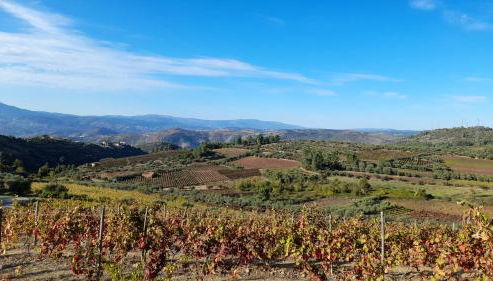 Quinta do Outono - Foto 2