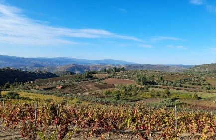 Quinta do Outono - Foto 2