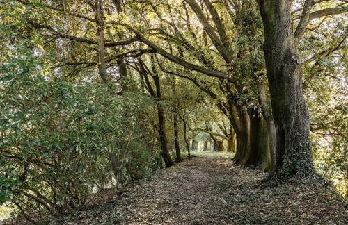 Villa Col di Luna-ProseccoHills - Foto 68