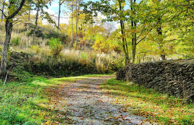 Agriturismo Bio I Rondinelli - Foto 50