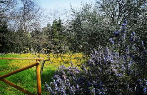 Casa Calicanto - Foto 49