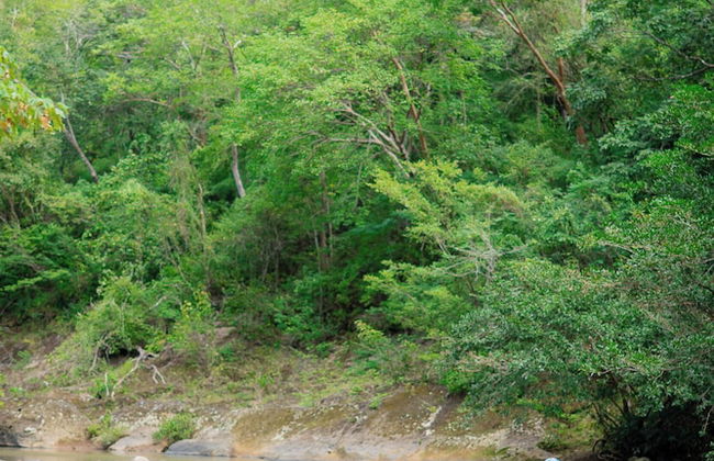 Destino Hotel & Hot Spring - Foto 72