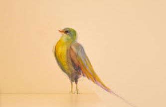 MirAntium - Anzio - Santa Teresa - Photo 41