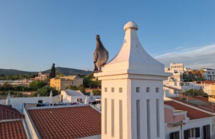 Estoi Heritage - Foto 36