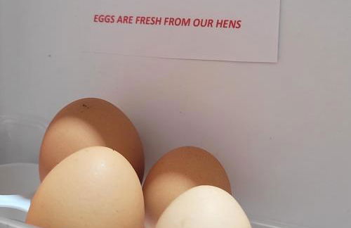 Hill House Apartment - Foto 22