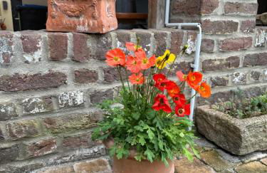 Doros Ferienoase - Foto 2