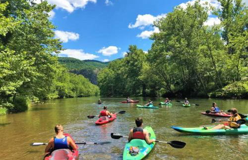 Jackson River Estate Cozy Cottage on the River - Foto 24