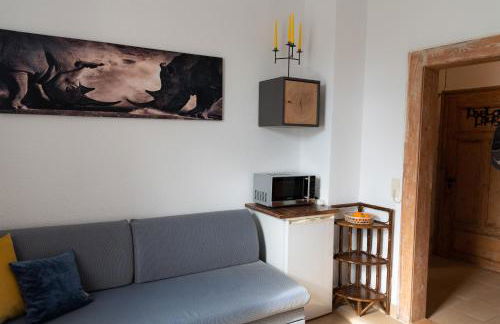 Ferienwohnung am Kurpark Ostrau - Photo 11