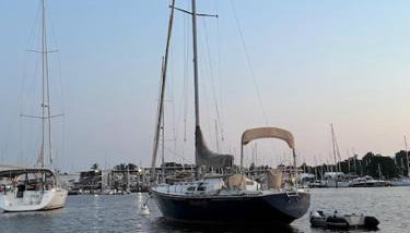 Sailboat Experience in Annapolis - Foto 2
