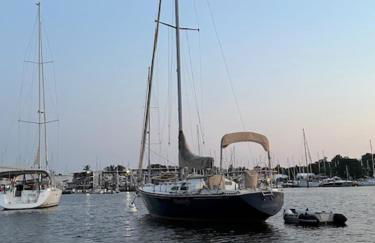 Sailboat Experience in Annapolis - Foto 2