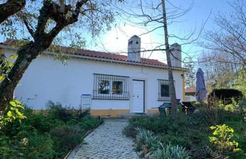 Quinta dos Girassóis FZ - Foto 59