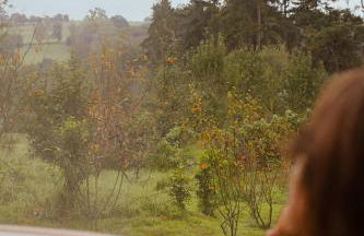 Amberwood Lodge - Photo 41