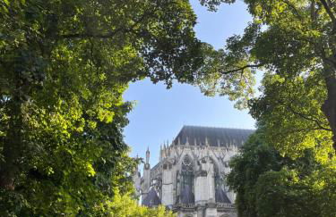 Les horizons de Jules - Foto 37