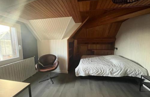 Grand Gîte le Skieur à Besse - Foto 14