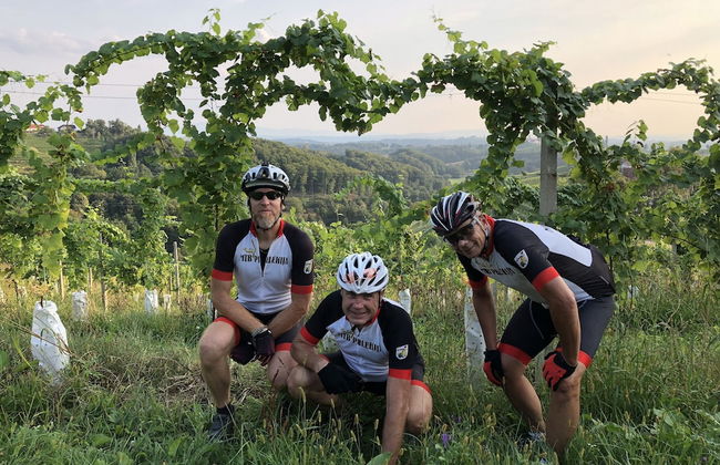 Holiday House Podhamer Marijan - Foto 15