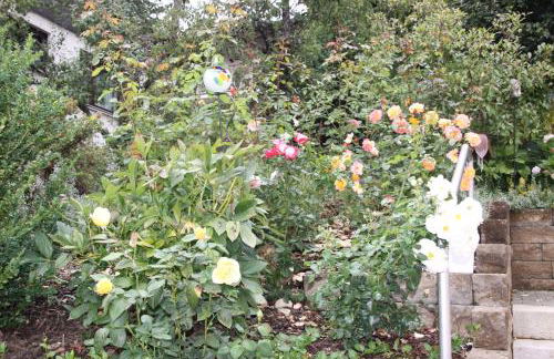 Ferienwohnung Josi , 64 qm 2 Zimmer - Foto 31