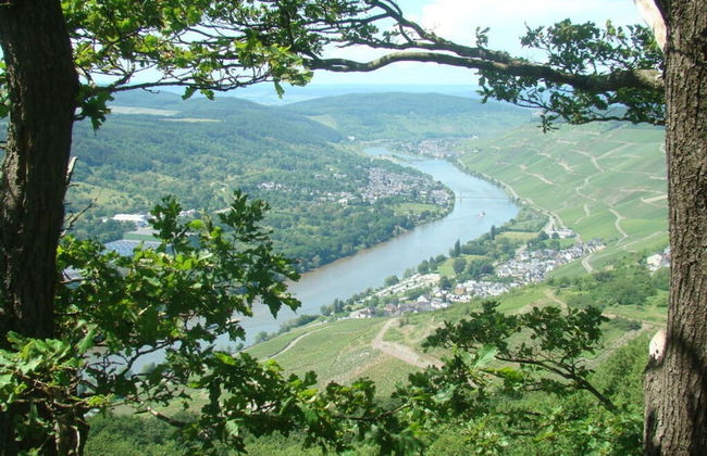 "moseltor" Comfortable Holiday Residence - Foto 17