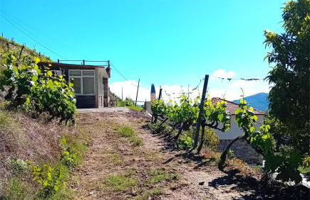 Casa da Quinta do Porto - Foto 54