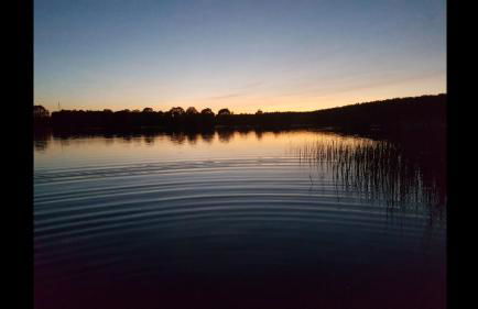 Ferienhaus am Rande des Müritz-Nationalparks - Foto 14