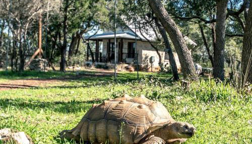 Lovely Cottage Retreat in Texas Hill Country with Cypress Creek Views near Hamilton Pool - Foto 2