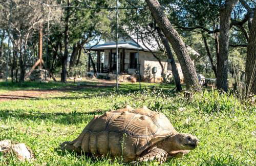 Lovely Cottage Retreat in Texas Hill Country with Cypress Creek Views near Hamilton Pool - Foto 2