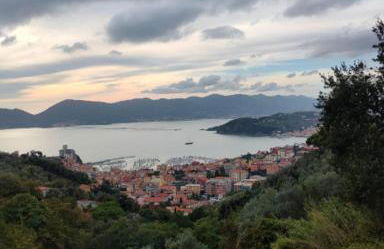 Luxury Apartment - Photo 25