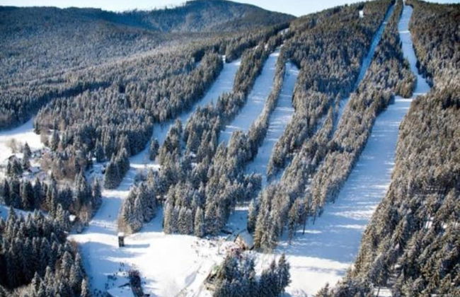 Cozy Forest Adventure Stay - Foto 41