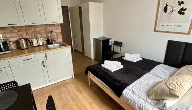 Apartament Kamionka Piast - Foto 1