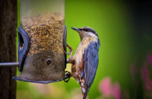 Coach House - Foto 19