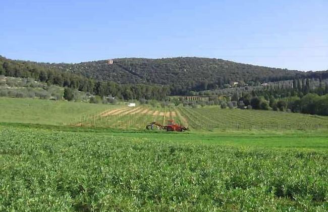 Agriturismo Podere Ficareto - Foto 73