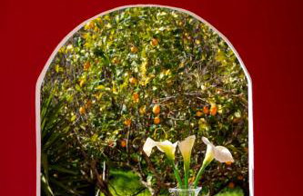 Red Villa - Photo 43