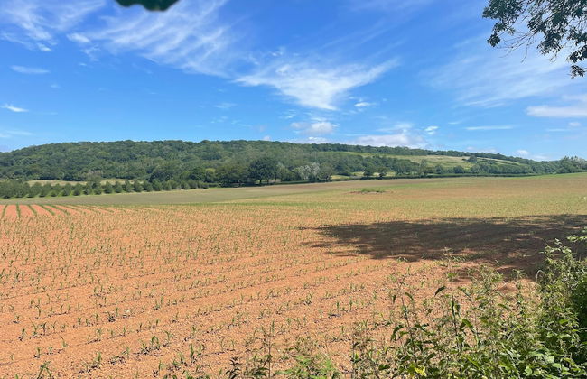 Relaxing Studio - Sauna - Luxe Bed - Pet-friendly - Foto 15