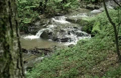 Kuća za odmor"Miran san" - Foto 8