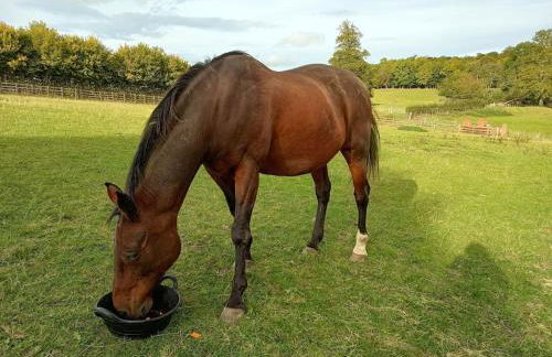 The West Wing at Eriviat Hall Hot Tub - Photo 52