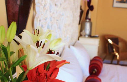 Insula Barataria - Foto 16