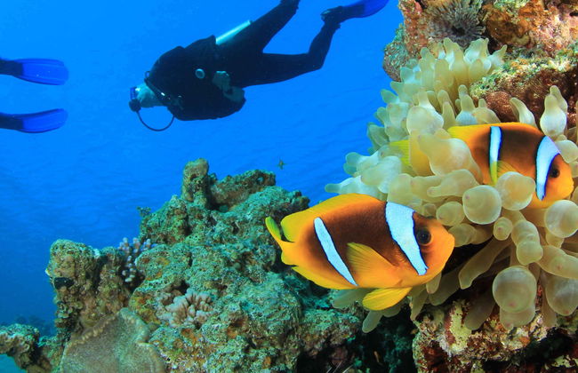 Corso di immersione PADI Open Water - Foto 4