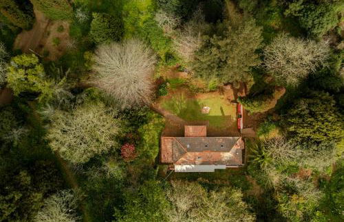 Surrounded by Nature - Casa da Cebola - Foto 68