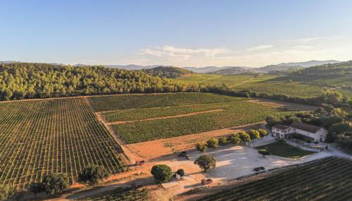 Domaine De Sigalous - Foto 5