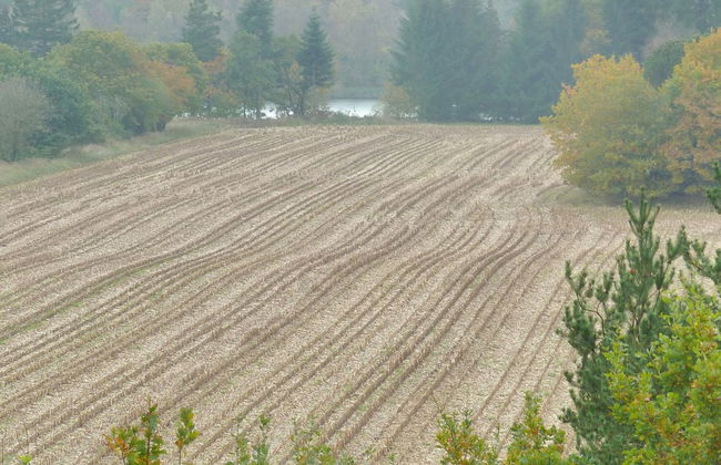 "Piia" - 800m from the sea - Foto 8