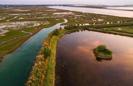 Ca'Savio mare - Foto 34