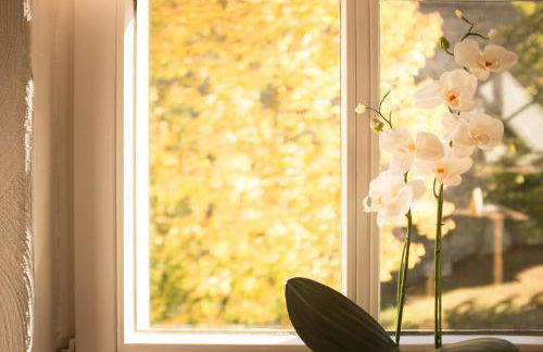 moments café & apartmenthaus - Foto 10