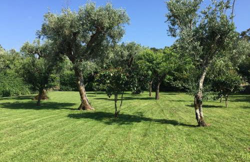 A Casa da Celeste - Foto 36