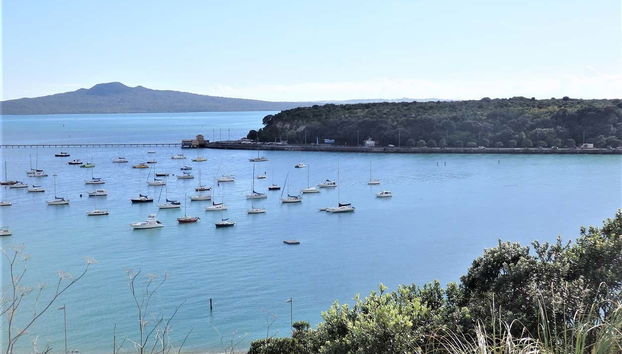 Auckland Full Day Tour - Photo 5, Natural landscape in Auckland