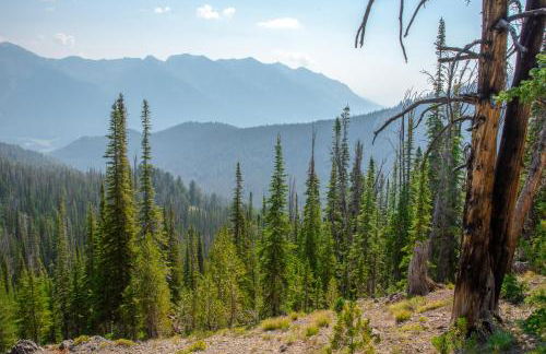 Dollar Meadows 1372 - Foto 39