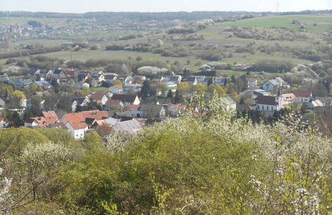 Charming Apartment in Mandelbachtal - Foto 18