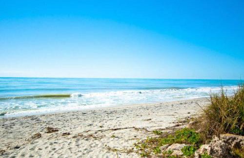 Great shape after Milton -Gorgeous Pool! - os - Photo 4