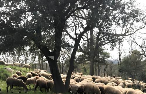 Allotjament Rural Solsona - Photo 59